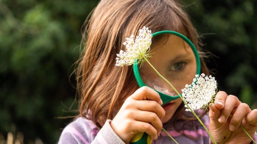 Girl examining a flower through a magnifying glass at Sheringham Park, Norfolk